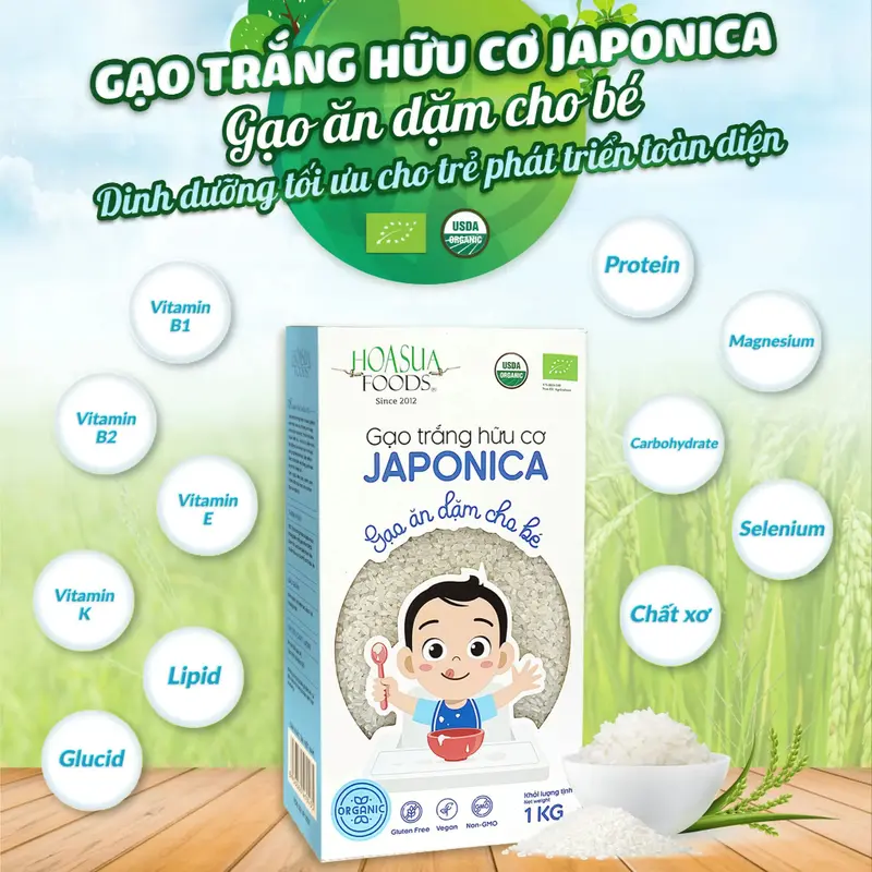 Gạo trắng hữu cơ Organic ST25 Hoa Sữa Foods - Gạo trắng hữu cơ Japonica 1kg thơm ngon cho bé tập ăn dặm 5