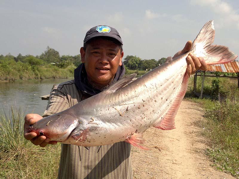 Hủ Bột Định Hương TN Trộn Mồi Câu Cá Tra Hồ 3