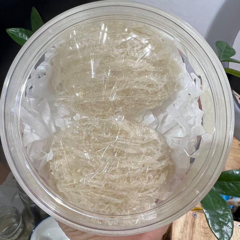 10gr Yến tinh chế làm sạch sợi ngắn + táo đỏ + đường phèn