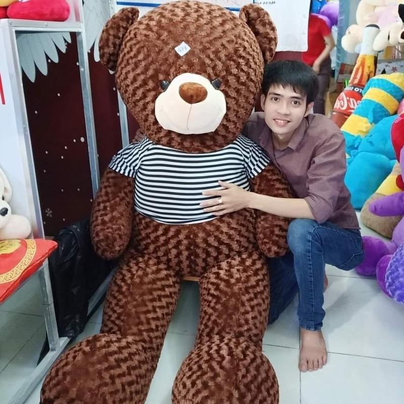 Gấu bông teddy khổ vãi 1M8 cao 1M6