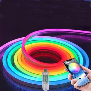 USB Neon LED Strip Light, RGBIC LED Strip Light, Music Sync Multi-color Chasing Strip Light, Flexible LED Lamp for Outdoor Tree, Wall, Step, Pool Decor