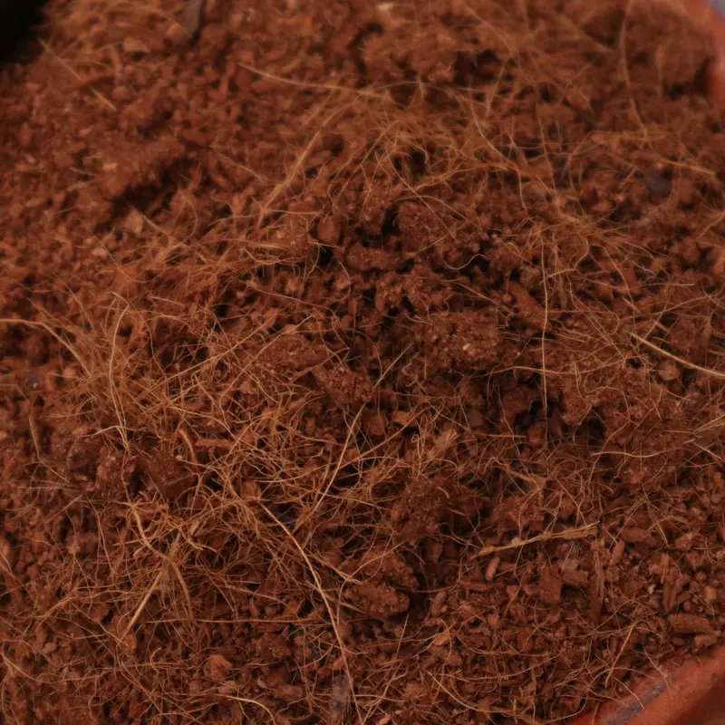 Cocopeat Berkualitas Bisa untuk Media Tanam & Hidroponik Tanah Tanaman 4