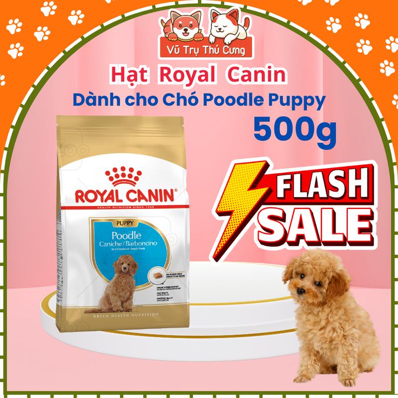 Hạt cho Chó con Royal Canin Poodle Puppy 500g