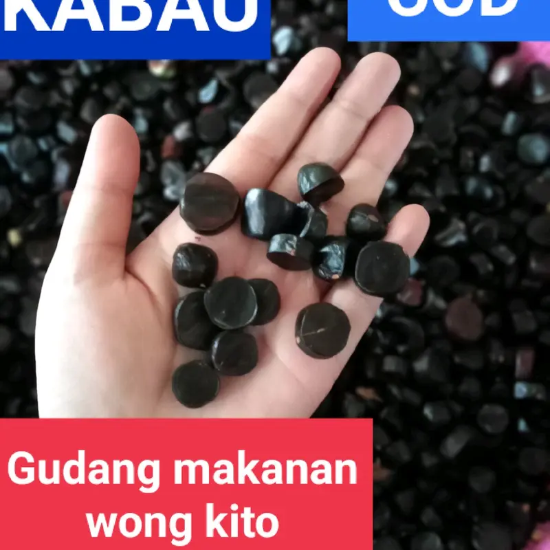 MAKARONI KABAU JOLANG JALING Hitam 1 KG Food 0