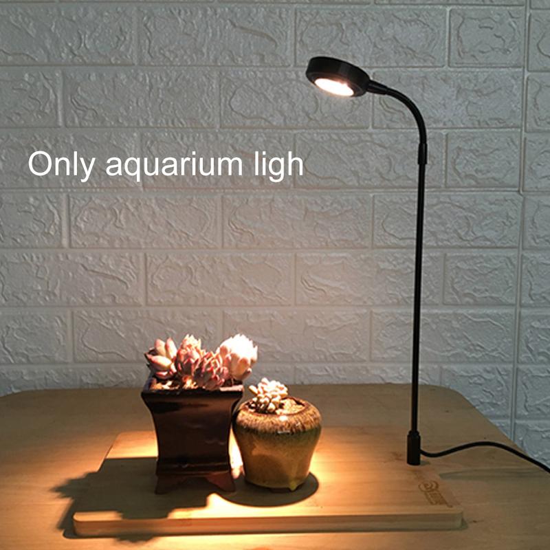 Product Introduction of Aquarium Plant Fill Lamp 10W Miniature Landscape with Wood Board Fish Tank Succulent Potted LED Light Waterproof Heat Insulation 4