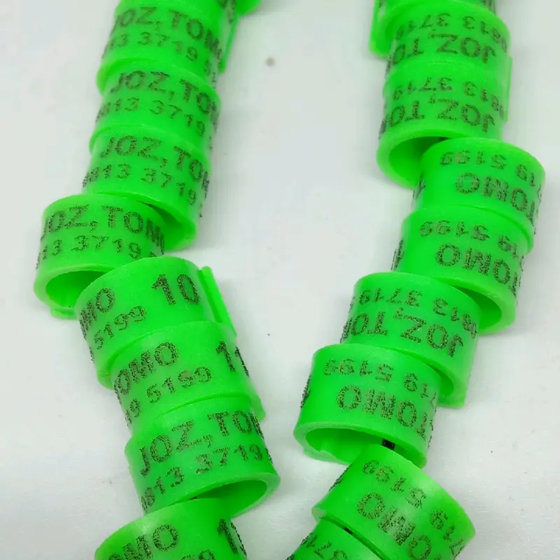RING KLIP HANYA UNTUK MERPATI DAN PUTER 1