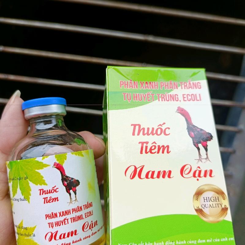 phân xanh phân trắng tụ huyết trùng nam cận 3