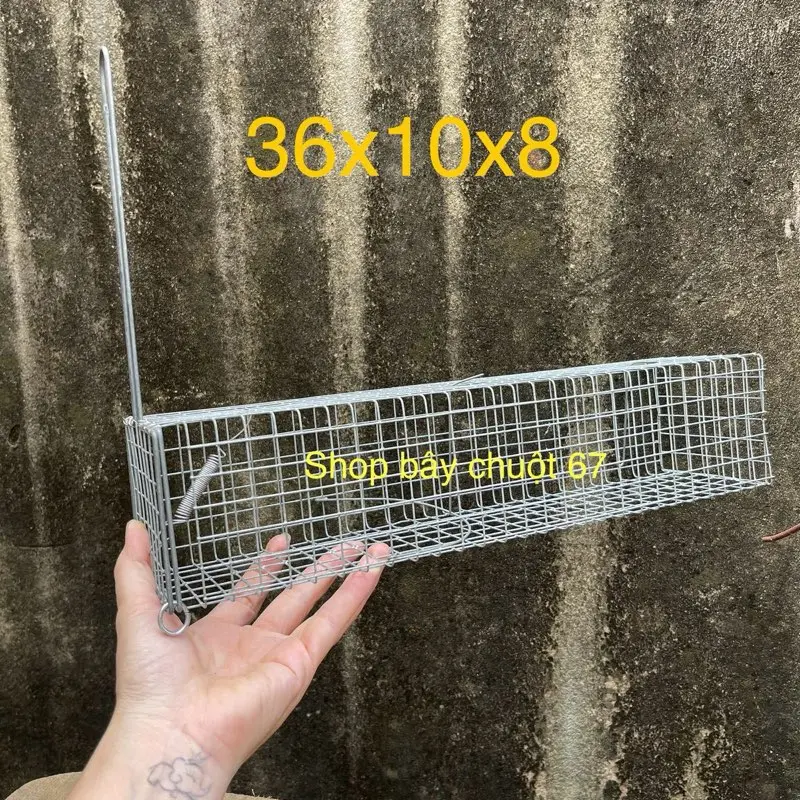 Combo 10 lồng dông cat,sóc ,chuột ,rắn mối …