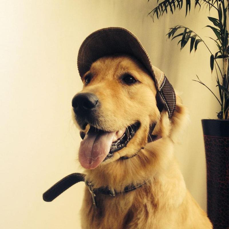 Product Introduction of Cute Dog Hat, Street Sports Style Breathable Dog Hat, Pet Hat for Outdoor Sun Protection, Stylish Hat for Dogs & Cats 8