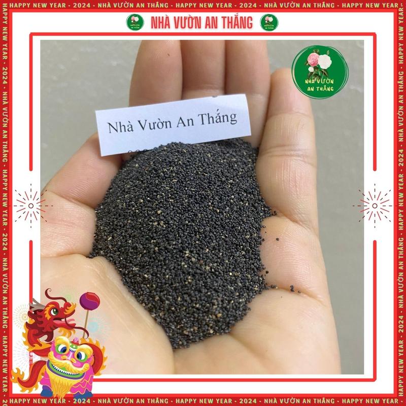 Hạt giống hoa mười giờ mix màu cực đẹp [Hạt Khuyến Mãi] 3