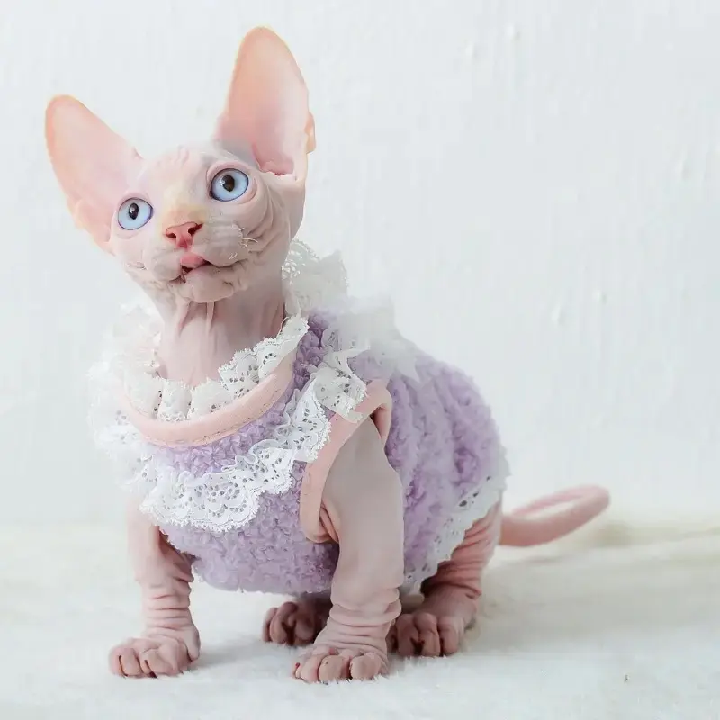 PET TREE • Granny Tank Baju Kucing SPHYNX Anjing 5