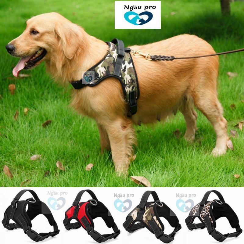 Đai yếm dắt chó đi dạo không kèm dây xích chó mèo thú cưng ngaupet