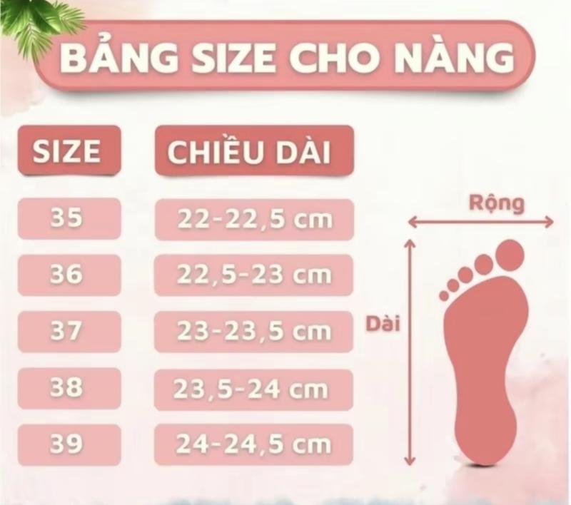 Product Introduction of Giày sandal nơ Ngang tiểu thư Nữ 0