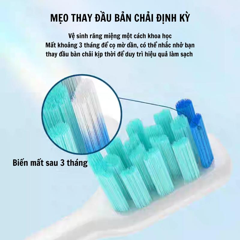 Đầu Bàn Chải điện EW-DC01, EW-DC02, Cho Răng Nhạy Cảm - JMI SHOP - JMI GROUP 6