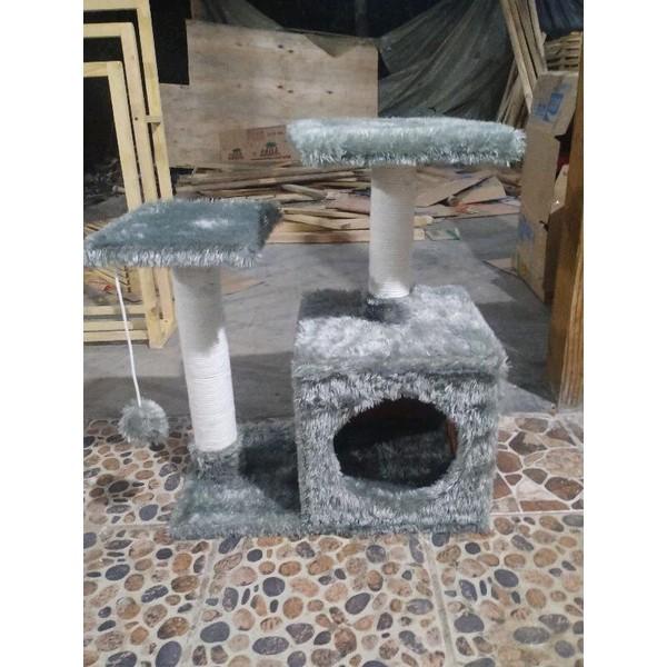 GARUKAN KUCING MURAH 0