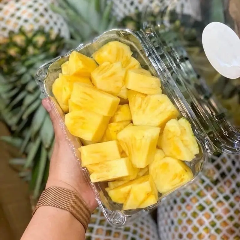 Combo 10Cây ( TẶNG1) DỨA MẬT KHÔNG GAI giống mới ( quả to ngọt lịm, cây tách trồi cây mẹ, trồi loại 1) 3