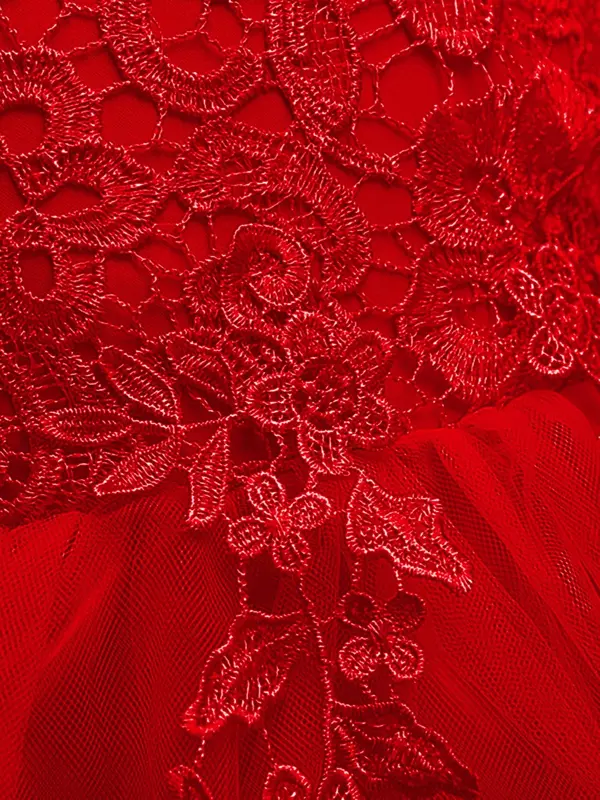 Girl's Contrast Lace Appliques Big Bow Decor Tulle Dress, Elegant Sleeveless Round Neck Midi Dress for Party Performance Wedding Guest, Kids Clothes for All Seasons 4