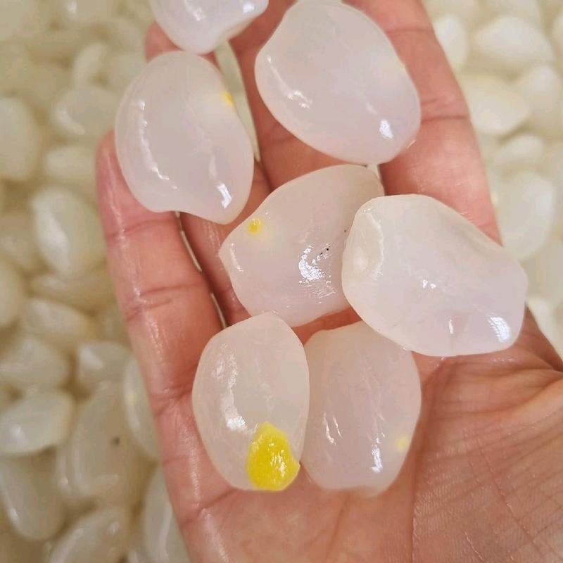 HẠT ĐÁC TƯƠI CHUẨN NÚI HẠT TRUNG LỚN DẺO NGON CHUẨN HẠT RIM Food