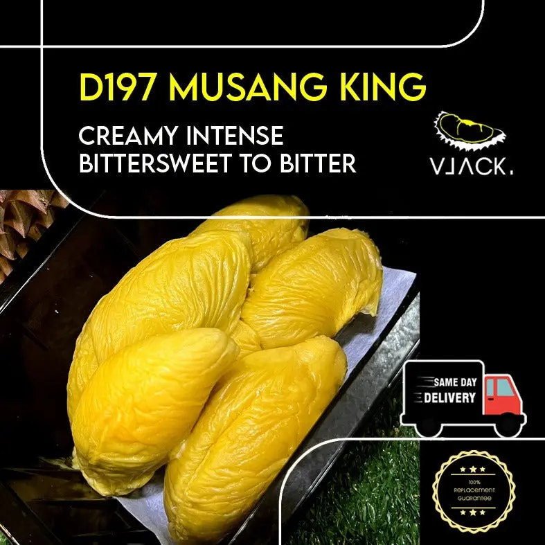 [Same Day Delivery] D197 Pahang Highland Musang King Old tree fresh durians natural