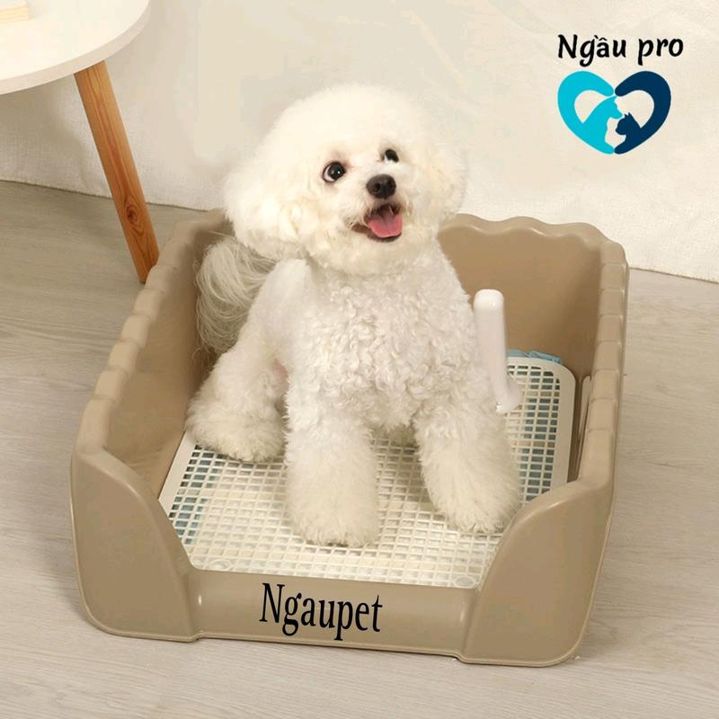 Khay vệ sinh chó đực thành cao fullsize SML Khay huấn luyện cún vệ sinh đúng chỗ ngaupet