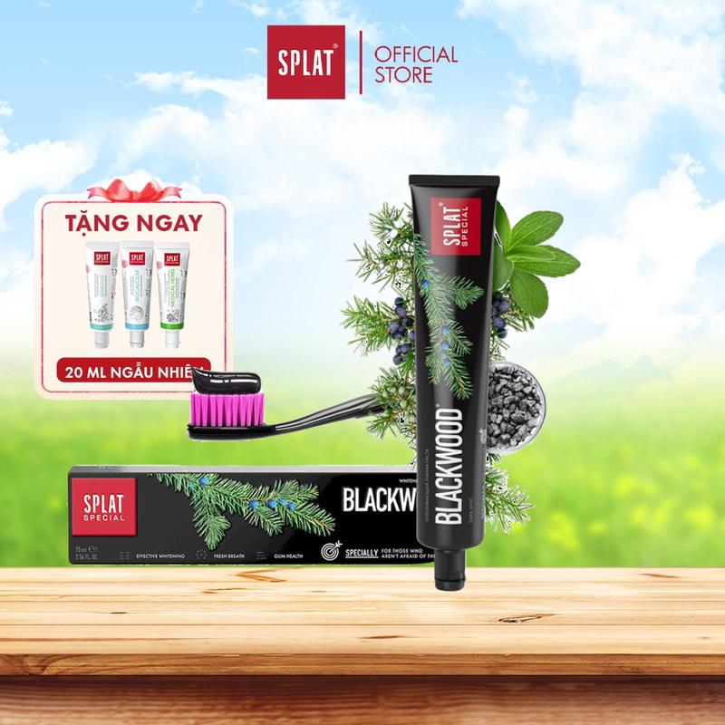 Kem Đánh Răng Than Hoạt Tính Hỗ Trợ Làm Trắng Và Giảm Mùi Hôi Miệng SPLAT Blackwood Special 75ml