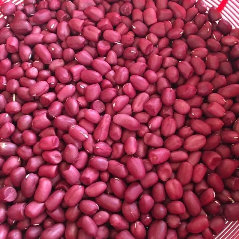 lạc đỏ cả vỏ Compo 2kg khô vụ mới Thức Ăn 6