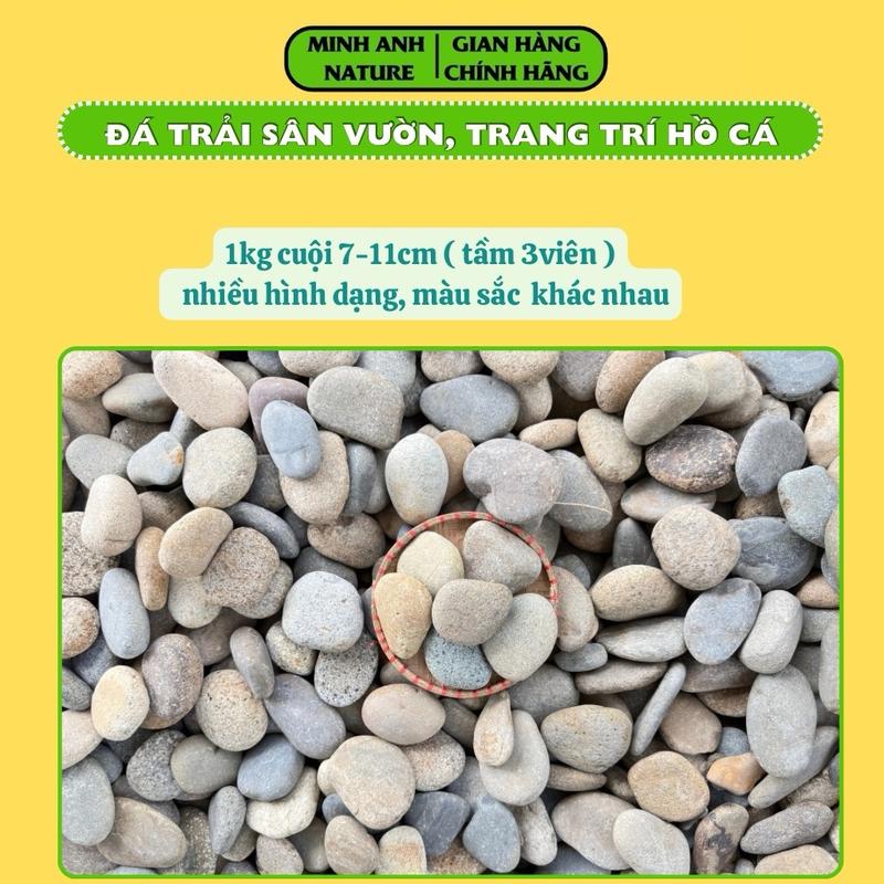  Đá Cuội Trang Trí Bể Cá Thuỷ Sinh Cuội Trang Trí Lối Đi Sân Vườn & Rải Chậu Cây Cảnh Trang Trí Ban Công Tiểu Cảnh 