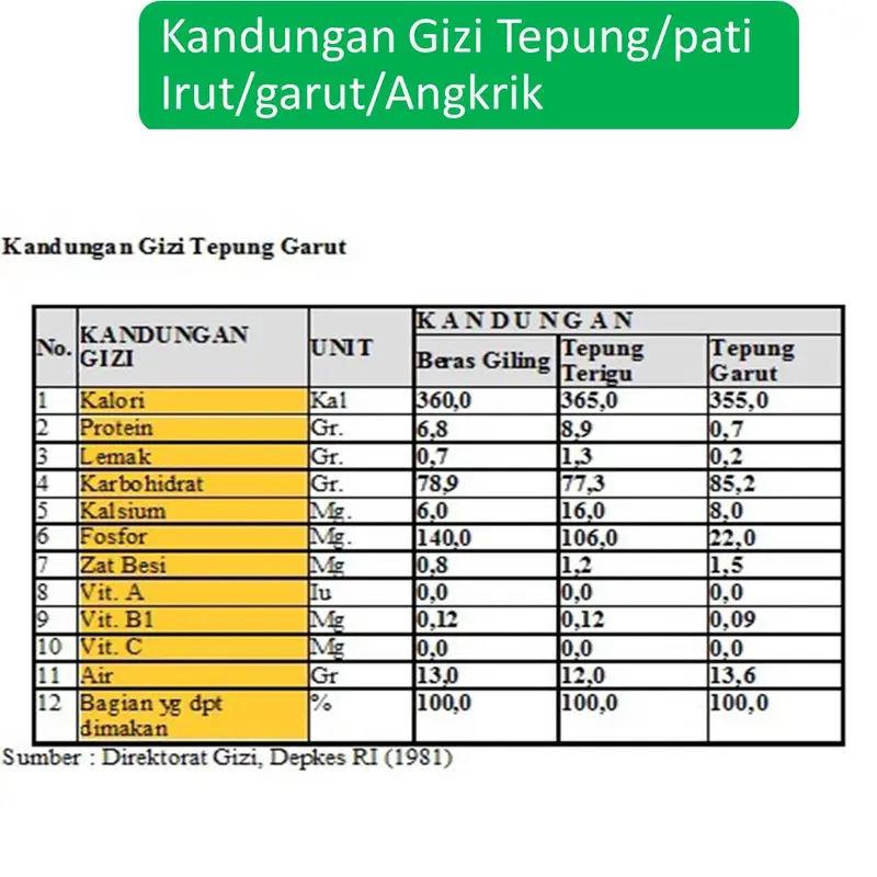 Paket 2 Box Nutri-Aj- Pati Irut-Garut-Angrik-Bebas Gluten Tepung Bahan 4