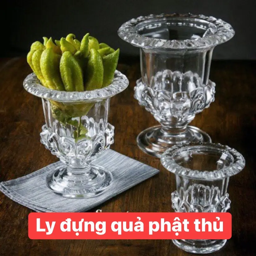 Ly Đựng Quả Phật Thủ, Lọ Cắm Hoa, Cây Cảnh Sz 15cm và 20cm (Ảnh thật)