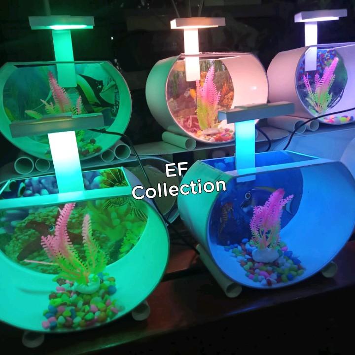 Akuarium Mini ikan hias Unik bergaransi full set dengan lampu 0