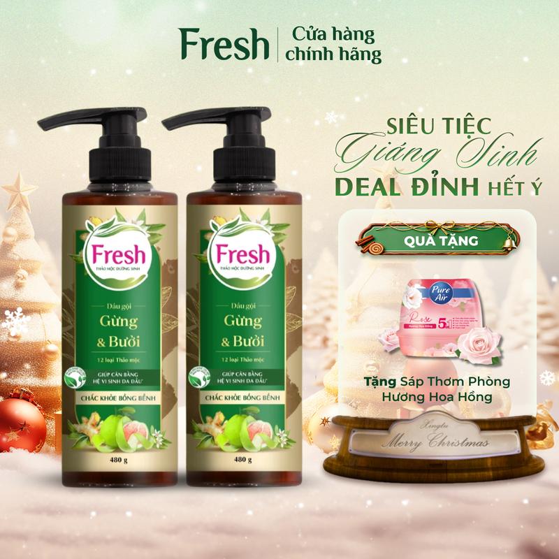  Combo 2 Dầu Gội FRESH Thảo Mộc Dưỡng Sinh Chắc Khỏe Bồng Bềnh Với Chiết Xuất Gừng Và Tinh Dầu Bưởi 480g chai 
