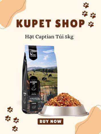  Hạt Captain Siêu Toping Túi 5KG Dành Cho Chó 