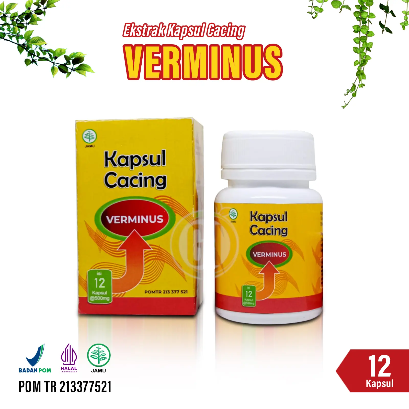 Kapsul Cacing Verminus Ekstrak Lumbricus Untuk Demam Typus 12 Kapsul BPOM
