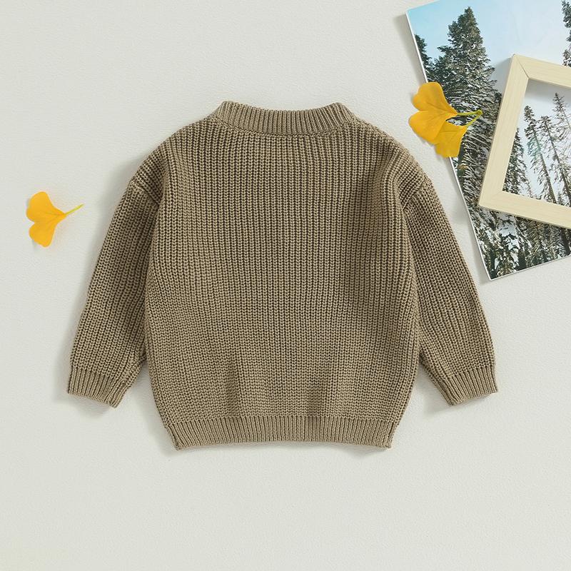 Product Introduction of Baby Girl Sweater, Long Sleeve Crew Neck Flower Winter Warm Knit Pullover Sweater Infant Clothes 47