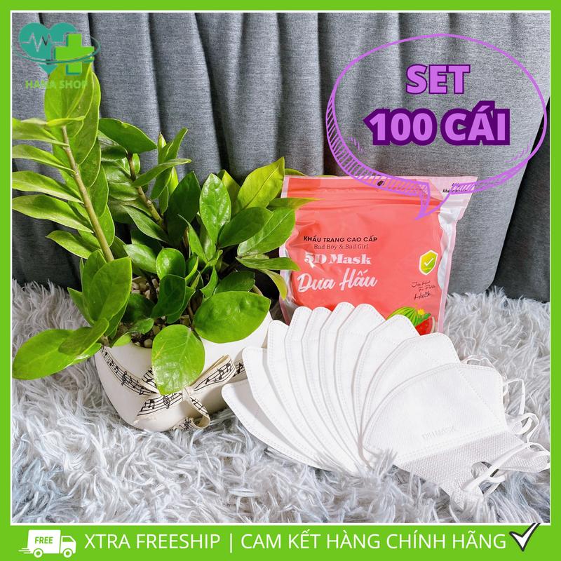 [Set 100 Cái] Khẩu Trang 5D Dưa Hấu Bag Boy, Bag Girl
