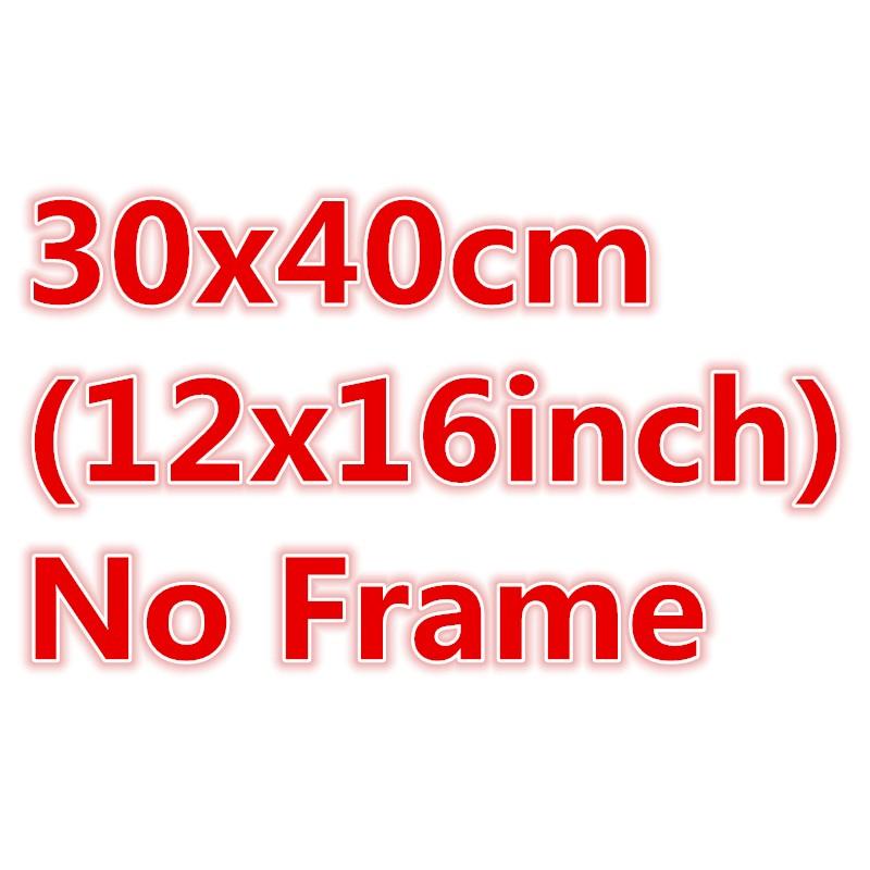DZ-30x40cm No Frame