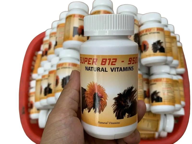 B12 vitamins B12-9500 Nuôi gà tơ và gà đá giúp tăng bo sung hừng hũ 100 viên