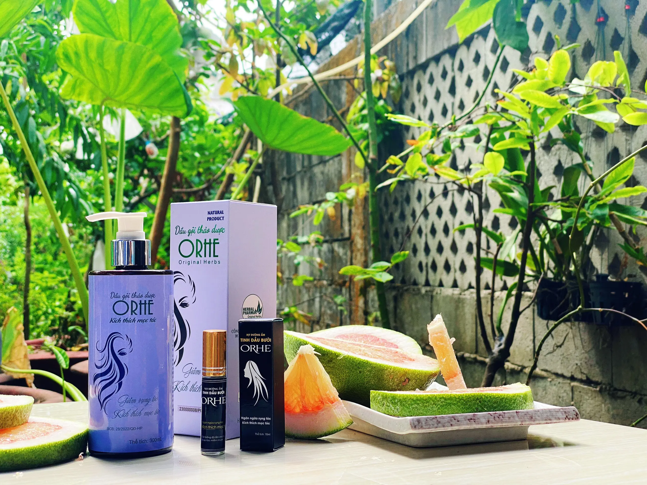 Combo dầu gội thảo dược&Xịt dưỡng ẩm tinh dầu Bưởi ORHE
