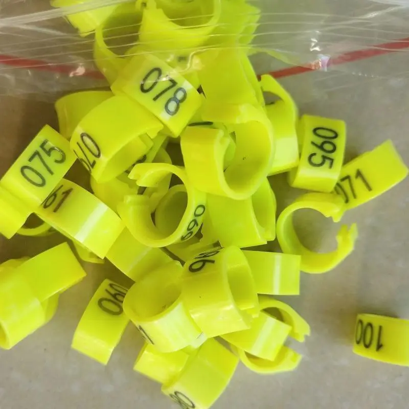 Nhẫn Chân Chim Bồ Câu, 100 Chiếc, Đường Kính 8Mm, Mở Rộng, Vòng Kẹp Kỹ Thuật Số, Vòng Đánh Dấu, Có 10 Màu, Thích Hợp Cho Chim 3