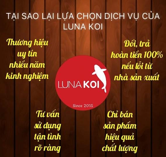 Supper protect , Vitamin C ++  dành cho cá cảnh , tăng cường sức đề kháng. 5