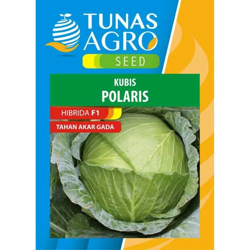 Benih Kubis Polaris Tahan Pentol 10 gr isi 3.000 an biji Free Souvenir 0
