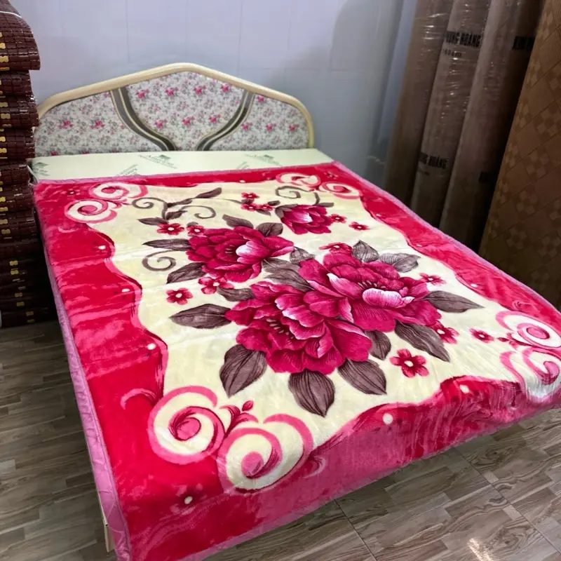 Mền nhung 2 lớp cân nặng 1.7kg 1m6_2m( hợp với thời tiết ở miền Nam)  ̂́ 〈 <〈diamond blanket-light gray vương miệng tím mềm mại chăn  nhung lông vắt  đ̃ làm mát he hoa octopus phao 4