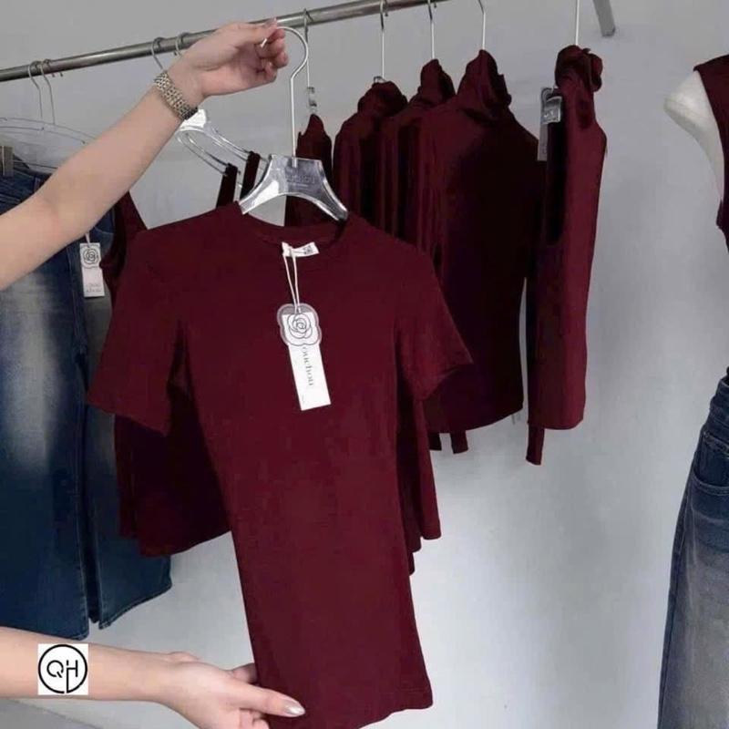 Áo thun form ôm siêu xinh dành cho nữ 2