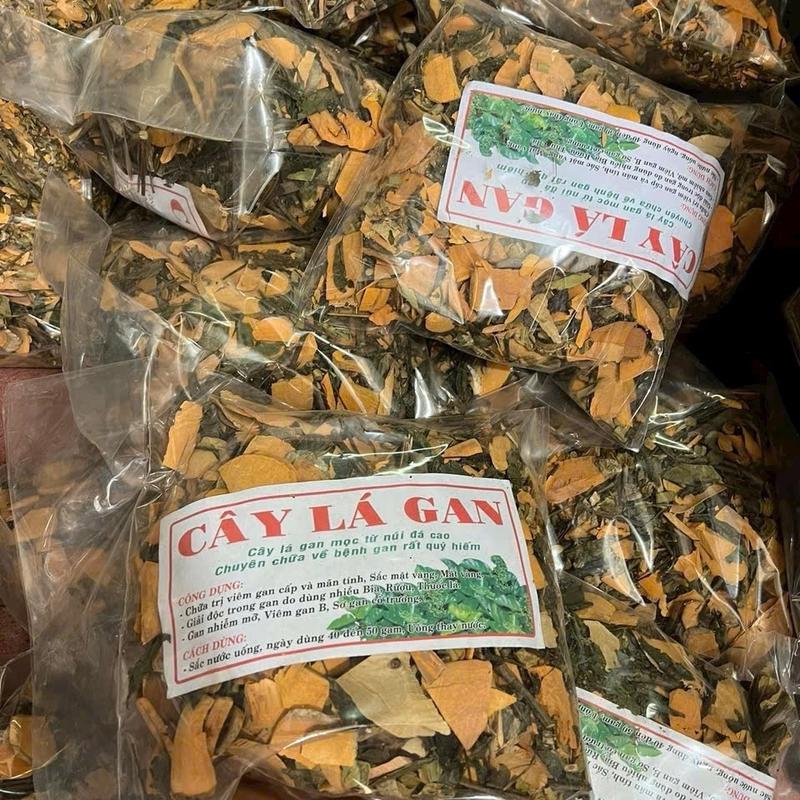 1kg CÂY TRÀ LÁ MÁT GAN của tây bắc tự nhiên ( chia nhỏ 10 túi nước trà uống 1 tháng) 1