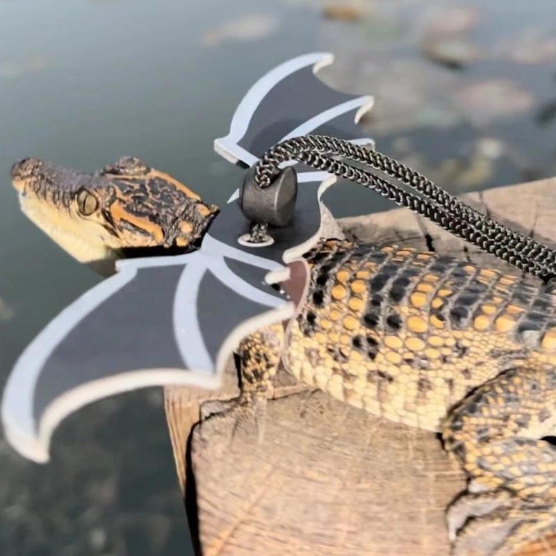 [Three-Piece Set] Little Crocodile Lizard Outdoor Costume Little Devil Leash with Wings Reptile Little Crocodile Clothes 0