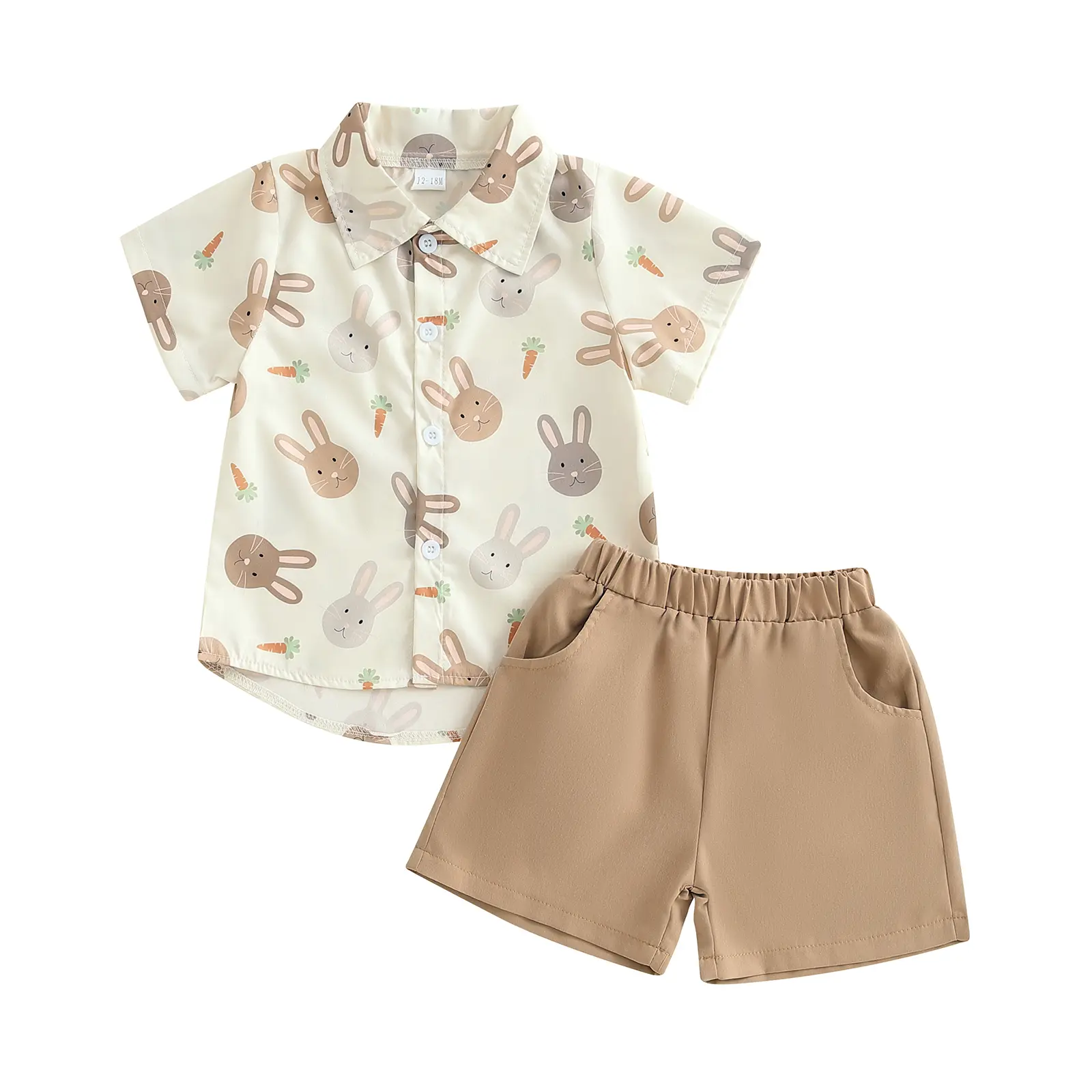 Toddler Boy Easter Shorts Set Bunny Carrot Print Short Sleeve Button-up Shirt Elastic Waistband Pockets Shorts