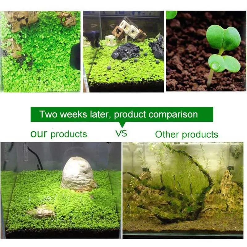 AShop Bibit Rumput Air Dekorasi Aquarium Landscape Ornament 10g 2