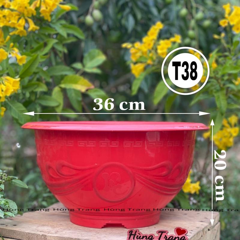 5 cái chậu nhựa trồng cây T38 dày dặn miệng 36cm x cao 16cm