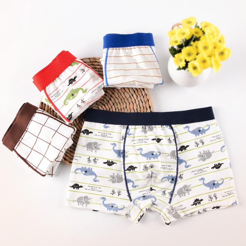 Quần lót bé trai cao cấp HIKITOKIDS Combo 5 quần CB05 0