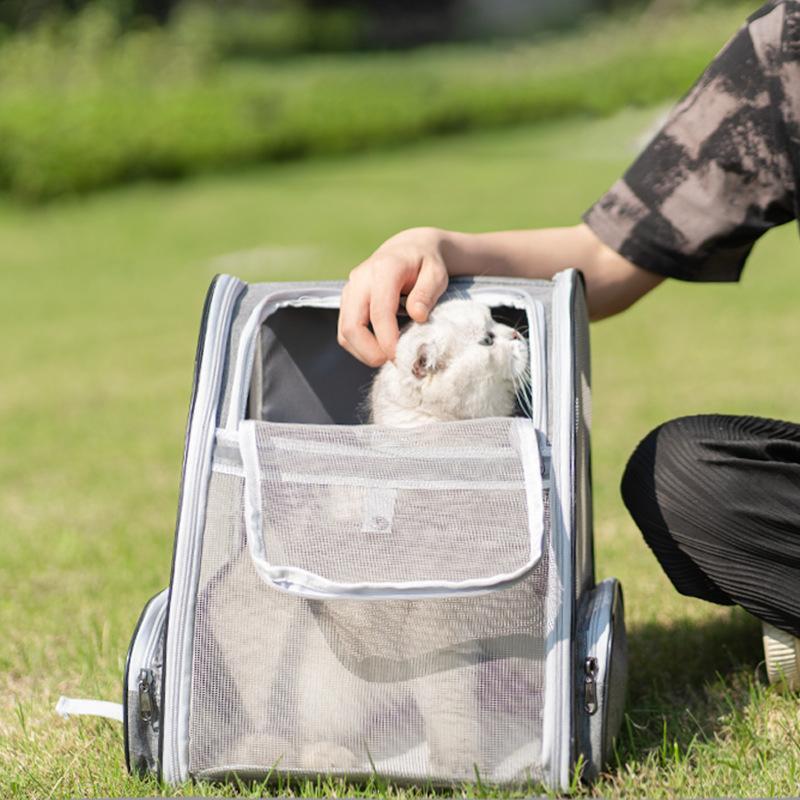 Product Introduction of Breathable Foldable Pet Backpack, Portable Pet Carrier Bag, Pet Travel Bag for Small Dogs & Cats, Pet Supplies for Outdoor Camping 10